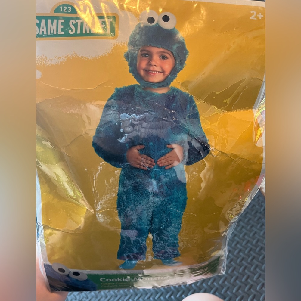 Cookie Monster costume